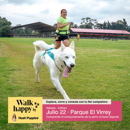 Comprende el comportamiento de tu perro al practicar deporte