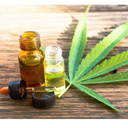 Taller Practico Cannabis medicinal