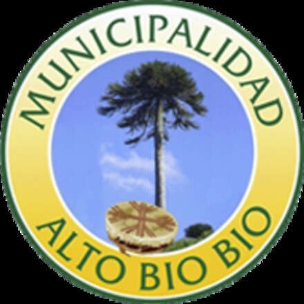 Alto Biobío Trail