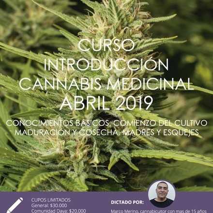 Curso Introductorio de Cannabis Medicinal de Abril 