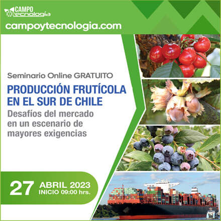 PRODUCCIÓN FRUTÍCOLA DEL SUR DE CHILE