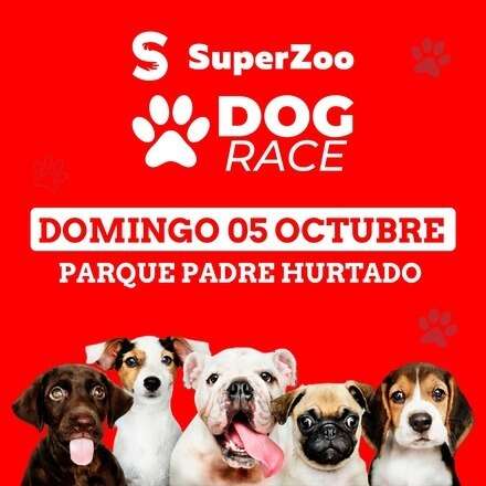 Super Zoo Dog Race 2025