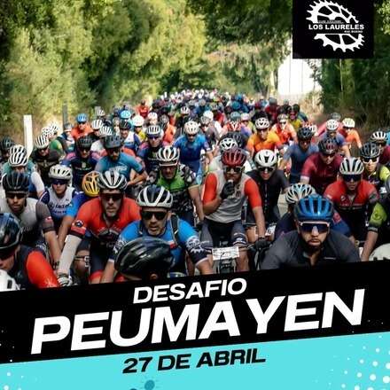 DESAFIO PEUMAYEN 2025