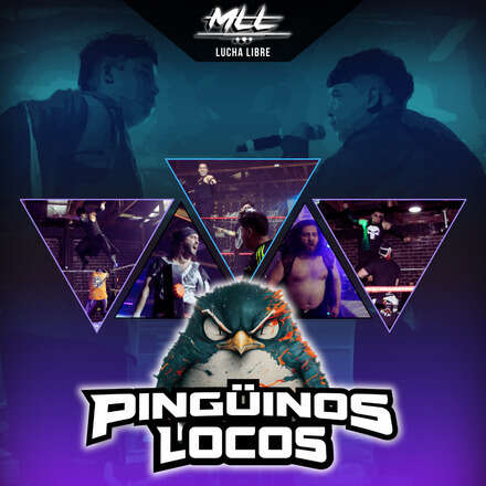 MLL Pingüinos Locos 2025