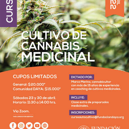 Curso de Cultivo de Cannabis Medicinal abril 2022