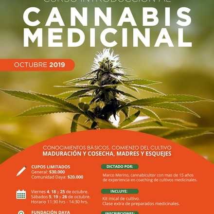 Curso Introductorio al Cannabis Medicinal de Octubre