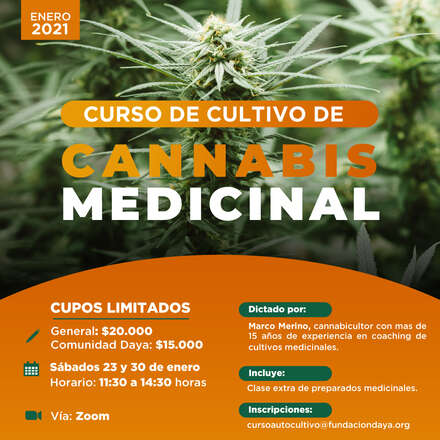 Curso de Cultivo de Cannabis Medicinal enero 2021