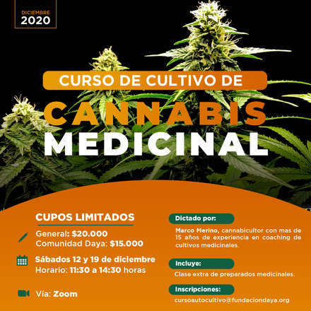 Curso de Cultivo de Cannabis Medicinal diciembre 2020