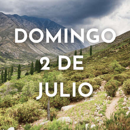 Caminando a través de la historia