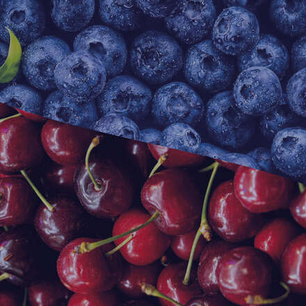 Entradas al 1° Curso Internacional de Especialización en Producción de Arándanos + 2° Congreso Especial Cerezos