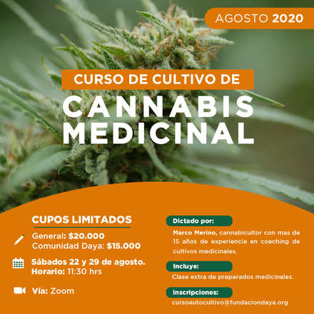 Curso de Cultivo de Cannabis Medicinal, agosto 2020