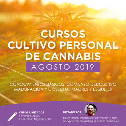 Curso Introductorio al Cannabis Medicinal de Agosto