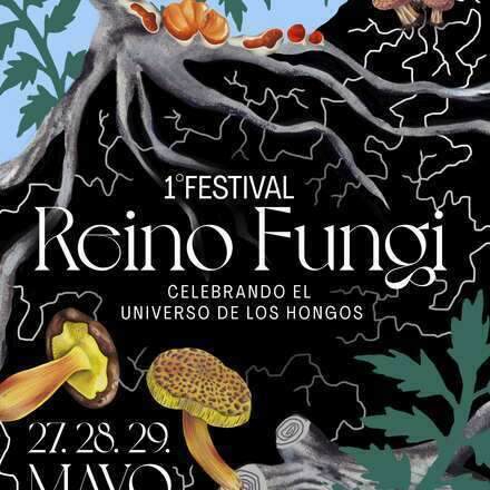 Talleres y salidas Festival Reino Fungi