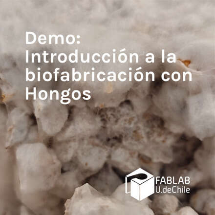 Introducción a la bio fabricación con micelio (hongo)
