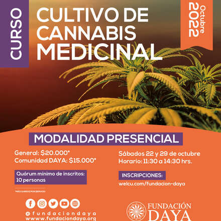 Curso de Cultivo de Cannabis Medicinal - Modalidad Presencial Octubre 2022