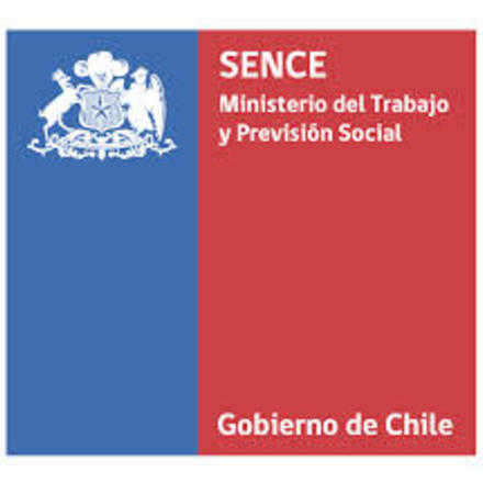 Sence Levantamiento de Necesidades de Capacitación +Capaz Concepcion