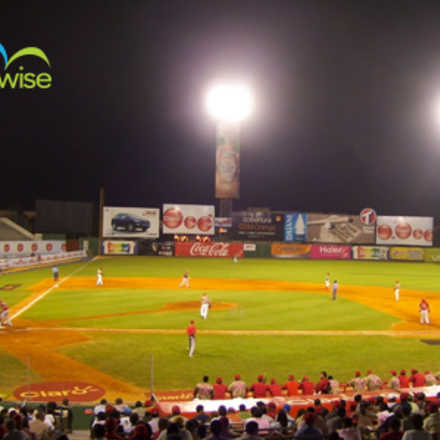 Temporada Beisbol invernal 2014 - Travelwise