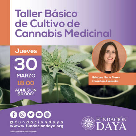 Taller Básico de Cultivo de Cannabis Medicinal 30 marzo 2023