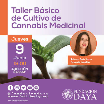 Taller Básico de Cultivo de Cannabis Medicinal 9 junio 2022