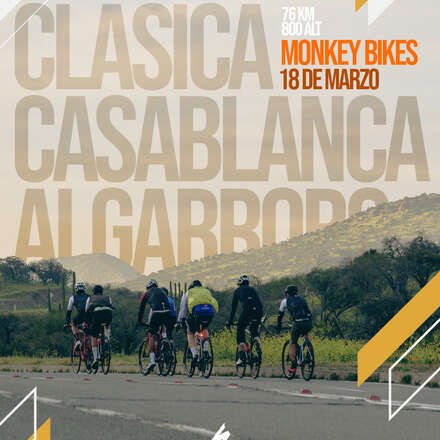 Salida Ruta "El Clasico" Casablanca Algarrobo, por Monkey Bikes