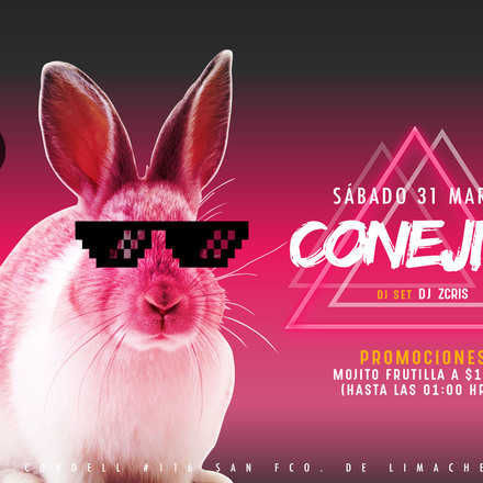 Santo Averno / Conejito