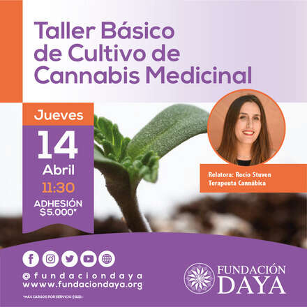 Taller Básico de Cultivo de Cannabis Medicinal 14 abril 2022