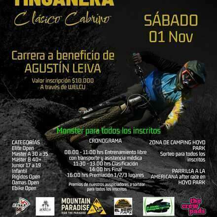 TINGANERA CLASICO CABRINO HOYO PARK
