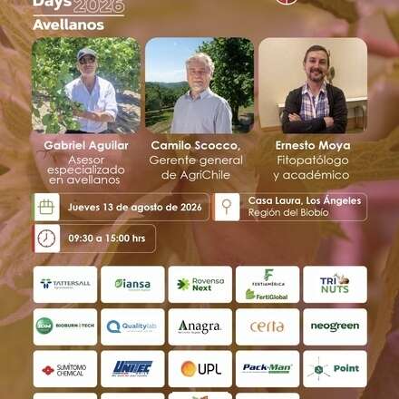 PLANETNUTS DAY AVELLANOS 2026