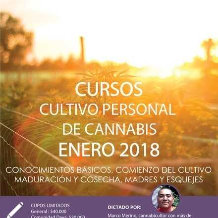 Cursos de Cultivo Personal de Cannabis enero 2018