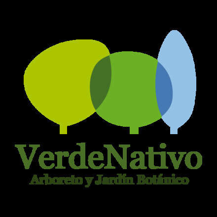 Excursión Botánica dentro del Jardín 