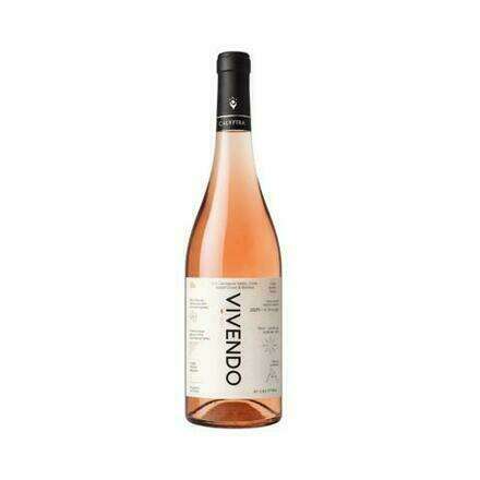 Cata de vino Viviendo Rosé de la Viña Calyptra junto a Les Dix Vins 