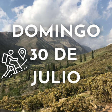 Descubriendo Yerba Loca