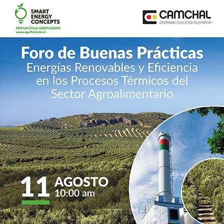 Foro de Buenas Prácticas “Energías Renovables y Eficiencia en los Procesos Térmicos del Sector Agroalimentario”