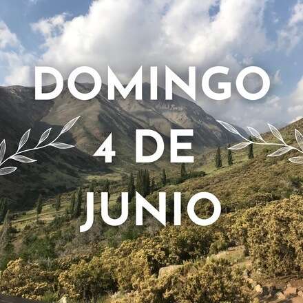 La Flora del Parque Yerba Loca