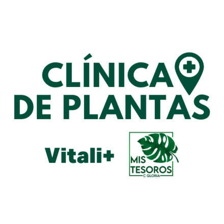 Clínica de Plantas