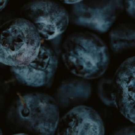 Auspicio Curso 2° Curso Internacional de Especialización en Producción de Arándanos, Perú 2026