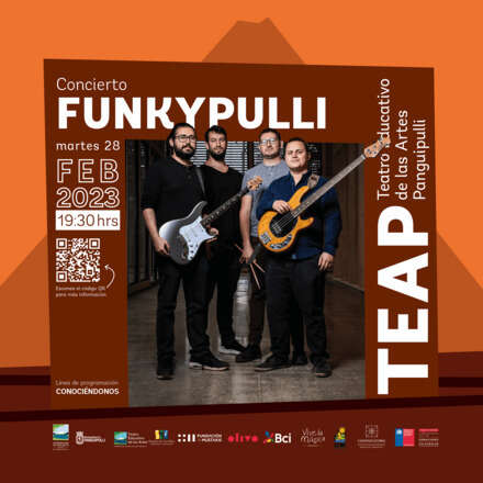 Concierto: Funkypulli