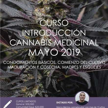 Curso Introductorio de Cannabis Medicinal de Mayo