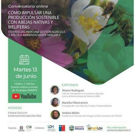 Cómo impulsar una producción sostenible con abejas nativas y melíferas