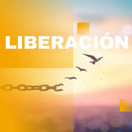 Liberación