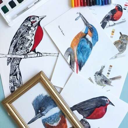 Aprende a pintar aves en acuarela junto a Javiera Gutierrez 