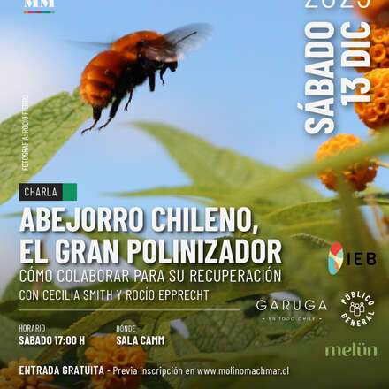 Charla ABEJORRO CHILENO, EL GRAN POLINIZADOR