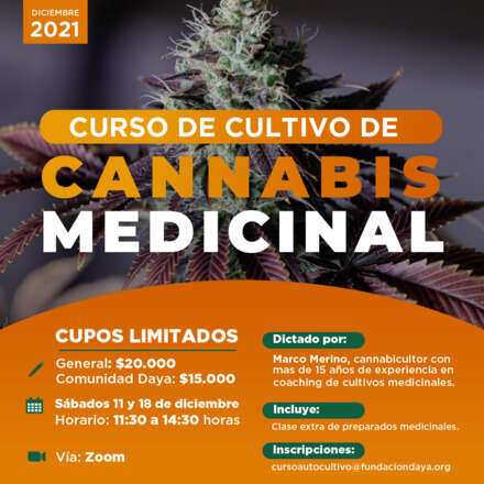 Curso de Cultivo de Cannabis Medicinal diciembre 2021