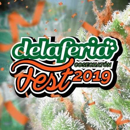 DelaferiaFest-Cosechatón 2019
