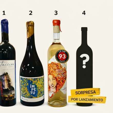 Cata de vinos de autor junto a Javiera Ortúzar y Vique Club