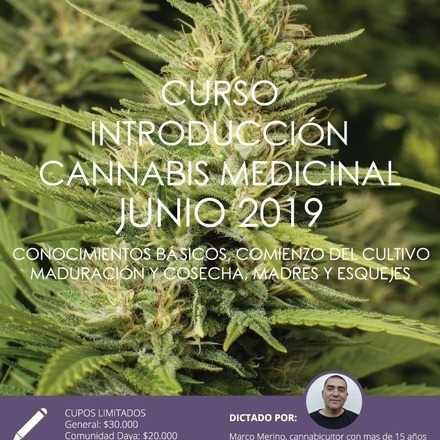  Cultivo Introductorio de Cannabis Medicinal de Junio