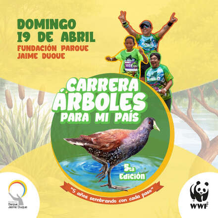 Carrera Árboles para Mi País 2026