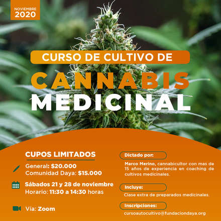 Curso de Cultivo de Cannabis Medicinal noviembre 2020