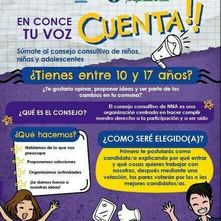 Consejo Consultivo Comunal NNA CPP