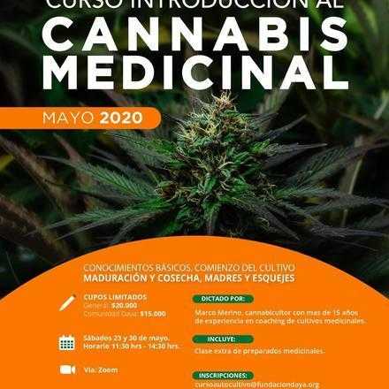 Curso Introductorio al Cultivo de Cannabis Medicinal Mayo 2020